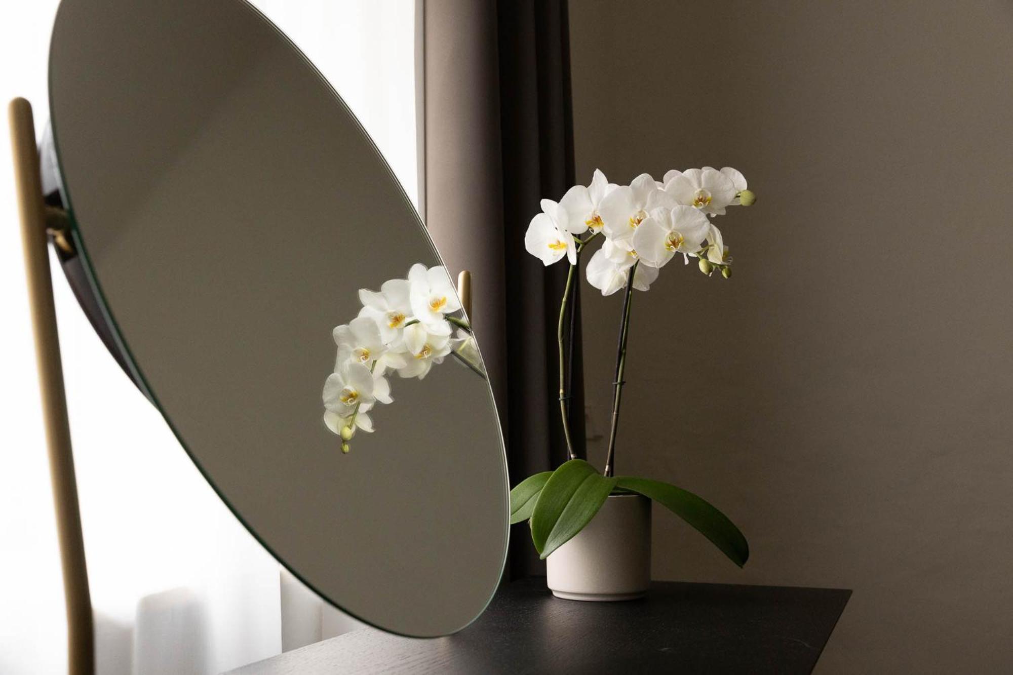 Ansitz Battisti Suites (Adults Only) Caldaro Bagian luar foto